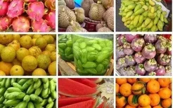 海南岛有哪些水果 海南岛主要生产什么水果 三亚特产水果有哪些