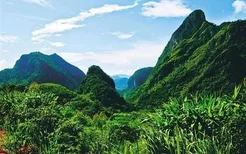 走进海南华体会体育买球
国家公园，探寻昌江大山深处的雨林秘境