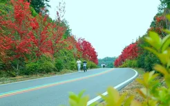 2022年秋季三百山自驾游攻略 在最美彩虹公路上邂逅绝色秋景