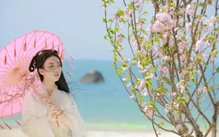 海南三亚2022天涯海角首届樱花节浪漫来袭！