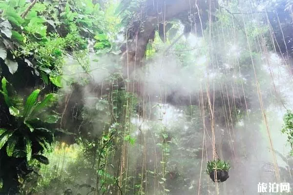 2019厦门园林植物园门票+开放时间+优惠信息