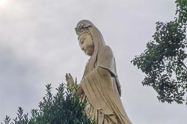 第一次去普陀山要注意什么 旅游注意事项 第一次去普陀山要注意什么 旅游注意事项
