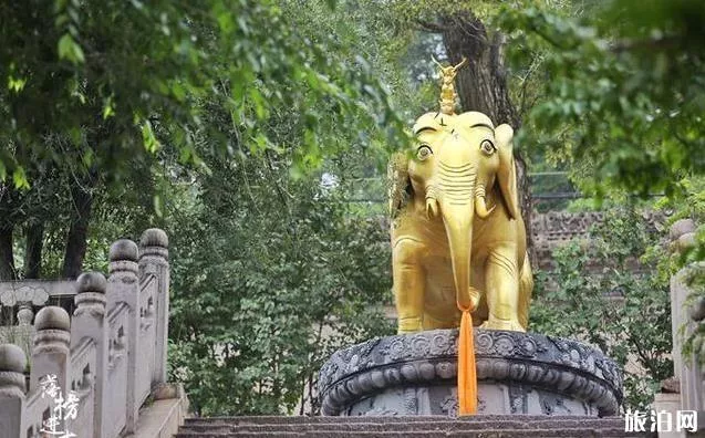 塔尔寺门票多少钱+优惠政策+讲解员费用 塔尔寺门票多少钱+优惠政策+讲解员费用