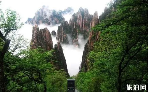 黄山门票优惠政策2018