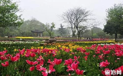 2018武汉植物园门票价格+优惠信息+游玩线路 2018武汉植物园门票价格+优惠信息+游玩线路