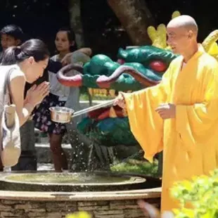 飘香端午,粽情万宁