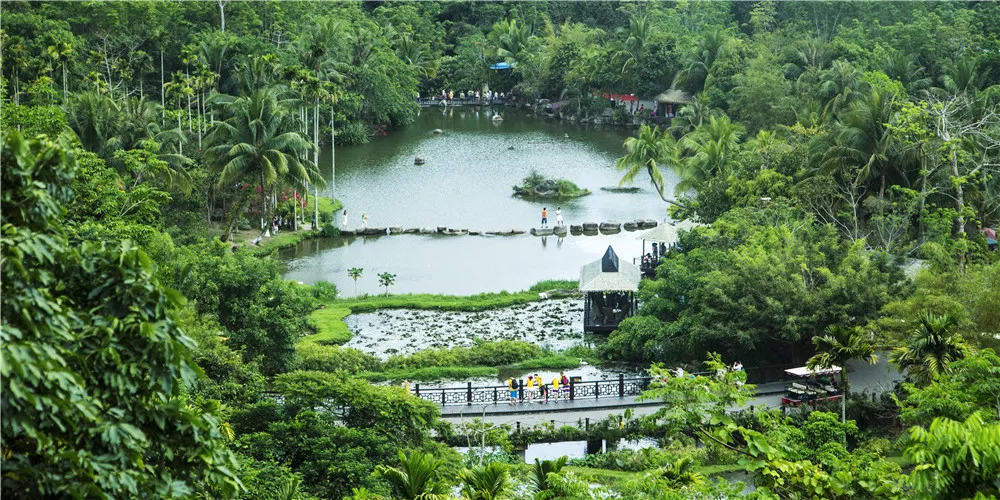 1513839062425080960.jpg 海南呀诺达雨林文化旅游区